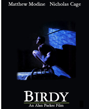 Birdy