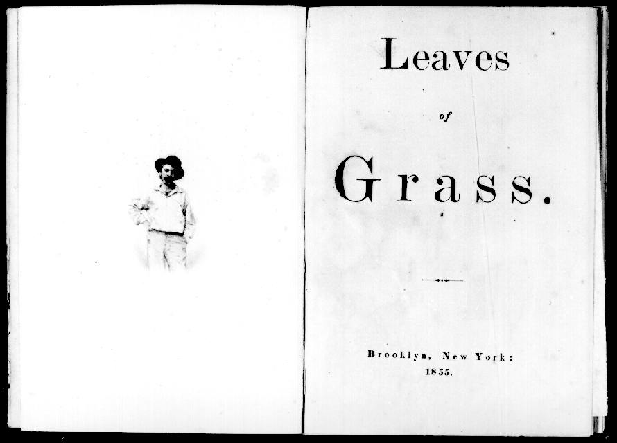 Leave of Grass