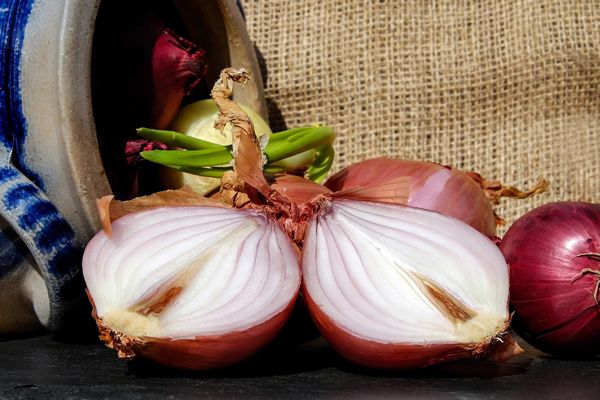 cebolla contra la caída del pelo