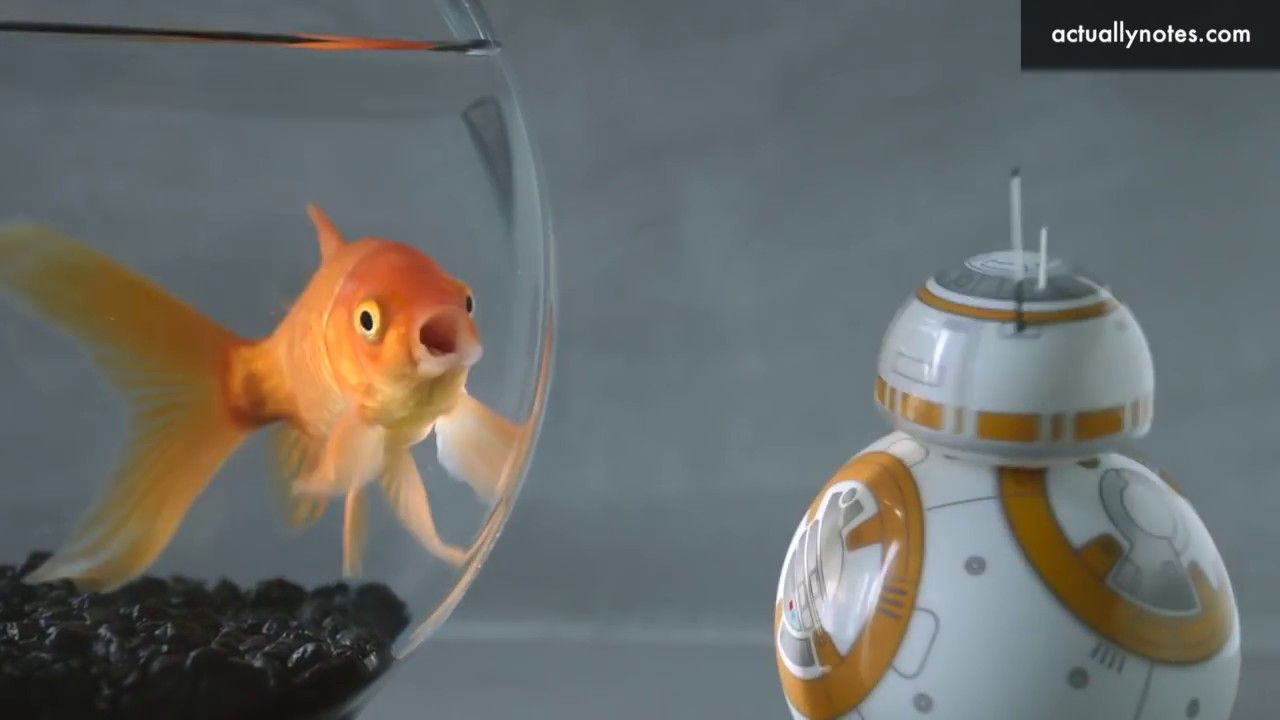 Los secretos de BB-8