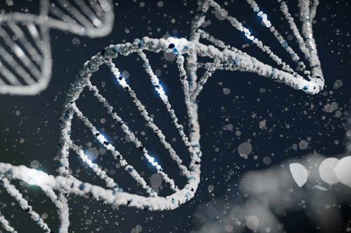 Descubre todo sobre Ti con el Test de ADN más completo