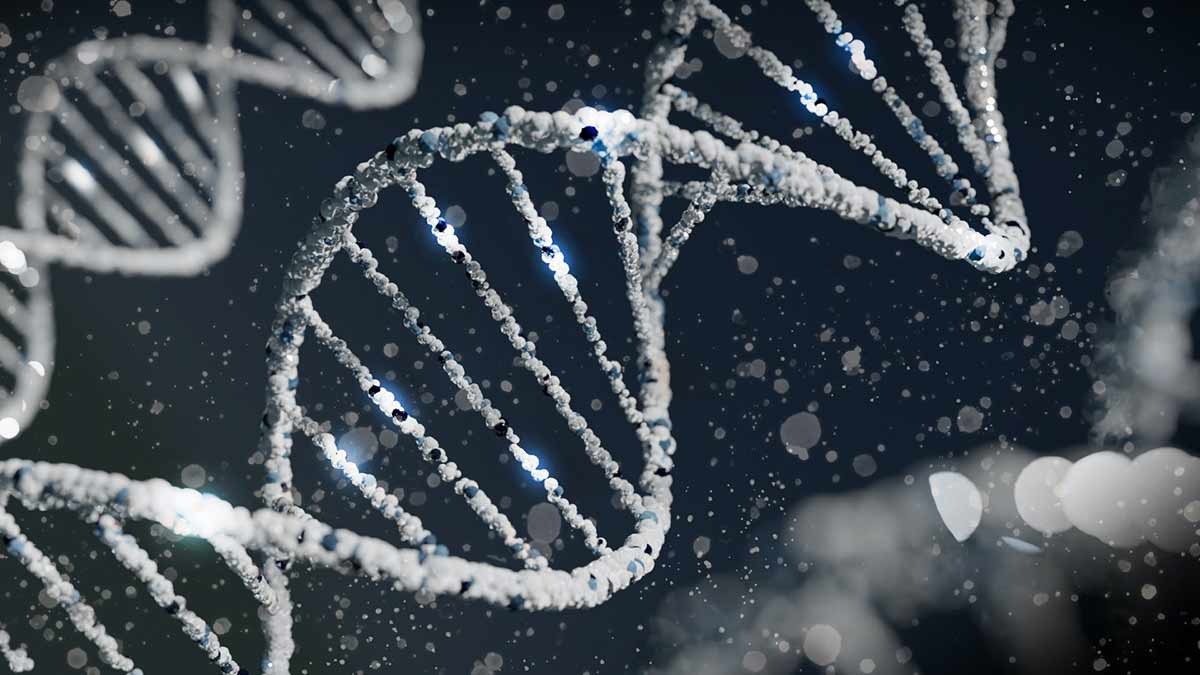 Descubre todo sobre Ti con el Test de ADN más completo